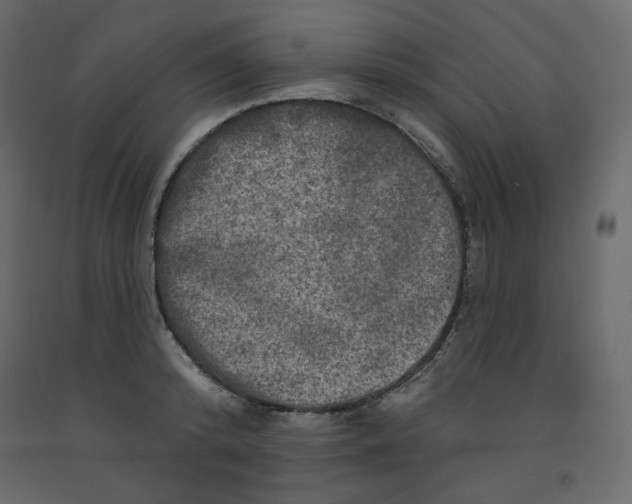 X0000091950800200710041007