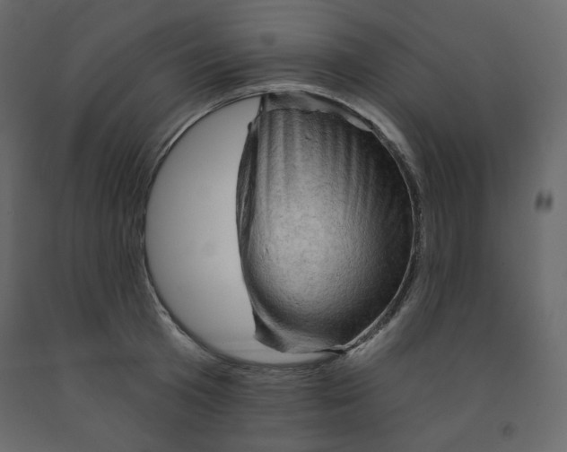 X0000091950801200710041007