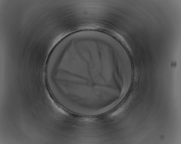X0000091950802200710041007