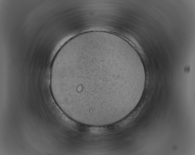 X0000091950804200710041007