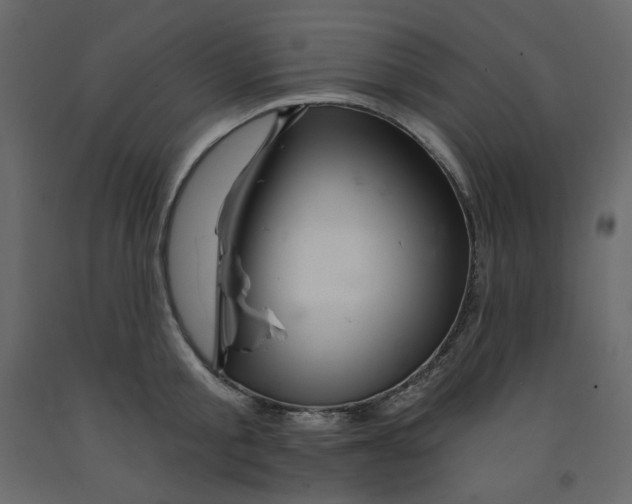 X0000091950805200710041007