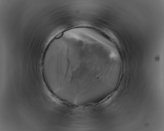 X0000091950806200710041007