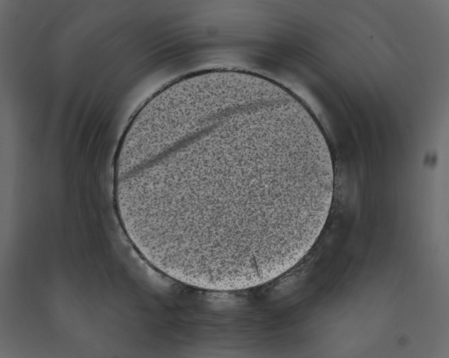 X0000091950807200710041007
