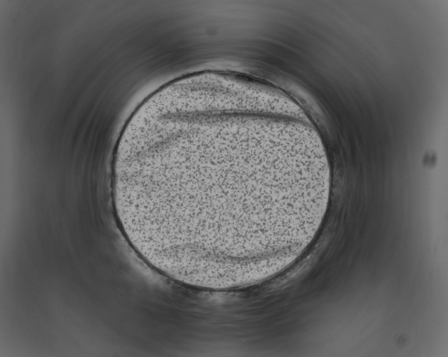 X0000091950808200710041007