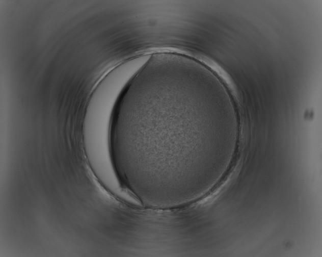 X0000091950809200710041007
