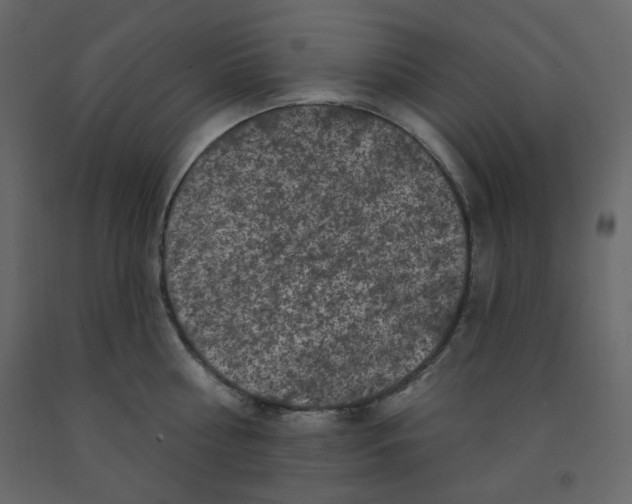 X0000091950810200710041007