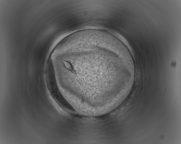 X0000091950811200710041007