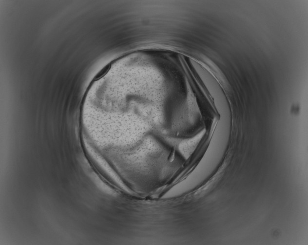 X0000091950812200710041006