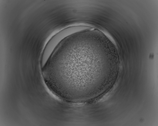 X0000091950813200710041006
