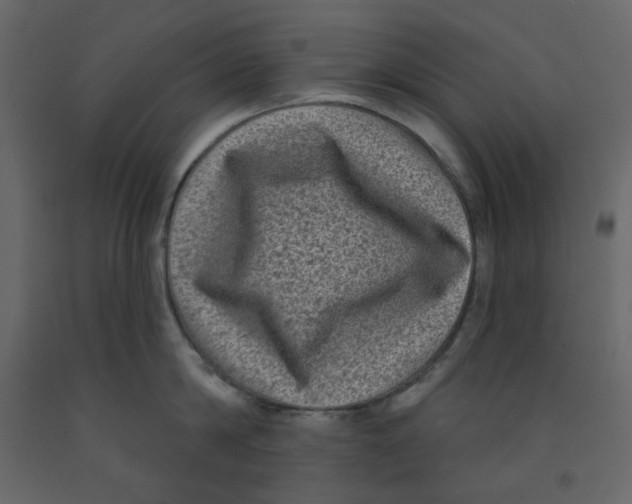 X0000091950814200710041006