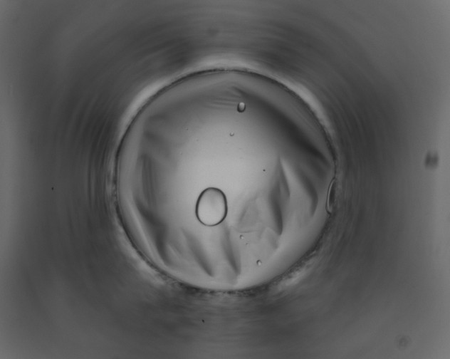 X0000091950815200710041006