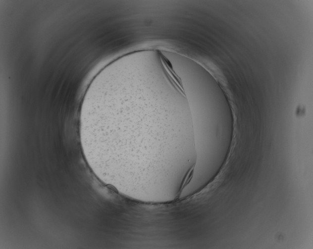 X0000091950816200710041006