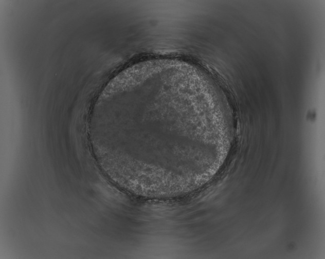 X0000091950817200710041006