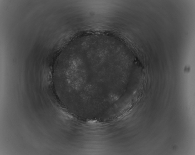 X0000091950818200710041006