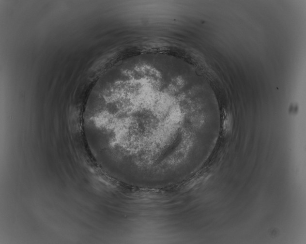 X0000091950819200710041006