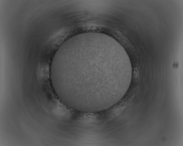 X0000091950820200710041006