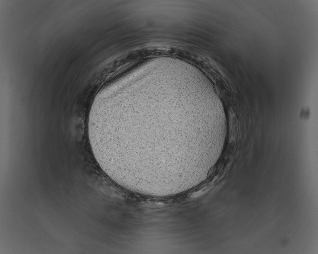 X0000091950821200710041006