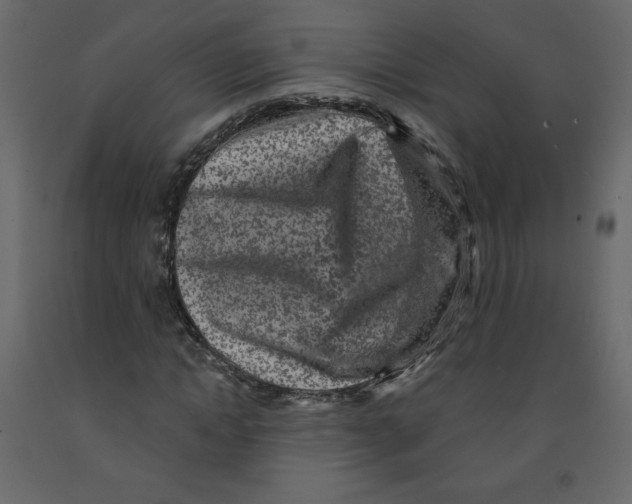 X0000091950822200710041006