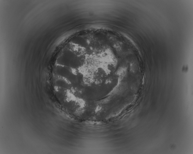 X0000091950823200710041006