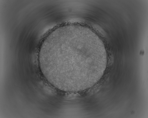 X0000091950824200710041006