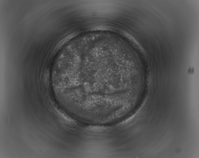 X0000091950825200710041006
