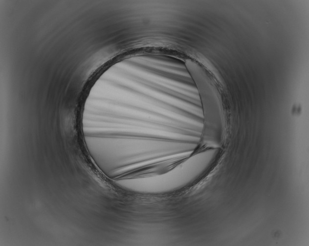 X0000091950826200710041006