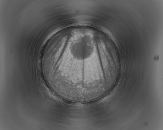 X0000091950827200710041006