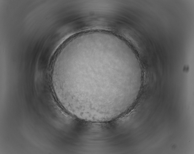 X0000091950828200710041006