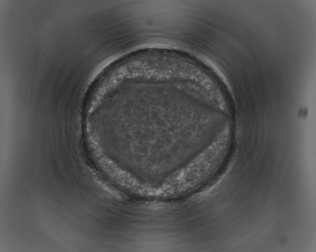 X0000091950829200710041006