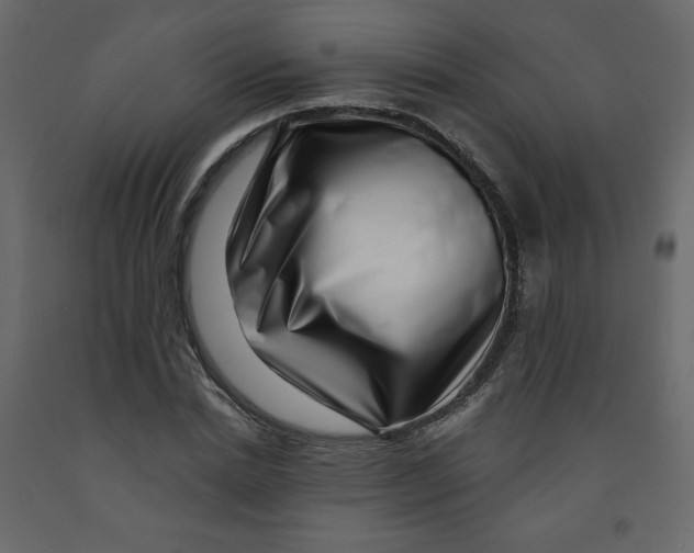 X0000091950830200710041006