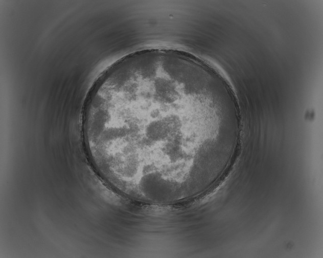 X0000091950831200710041006
