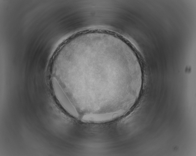 X0000091950832200710041006