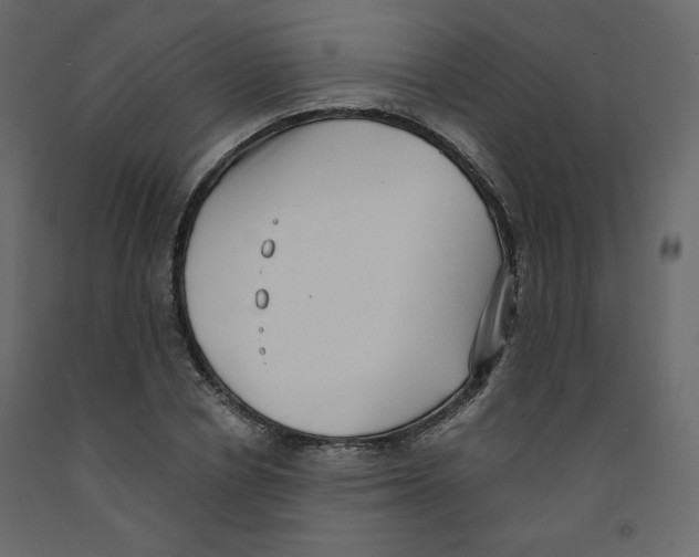 X0000091950834200710041006