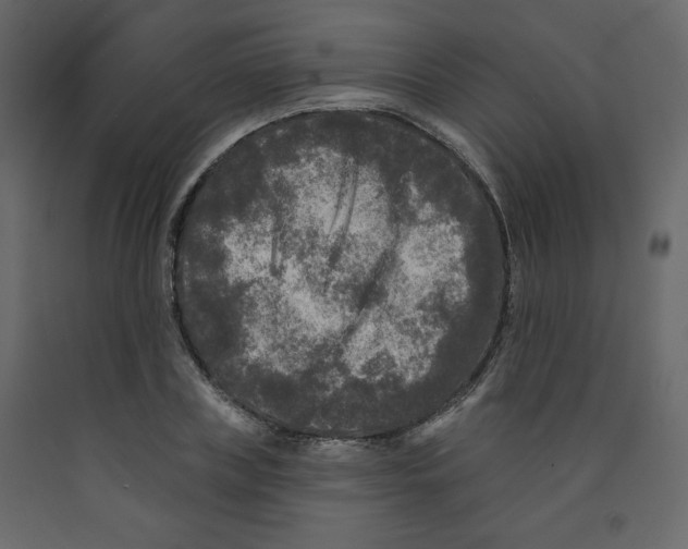 X0000091950835200710041006