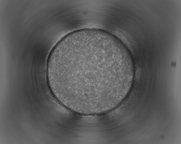 X0000091950836200710041006