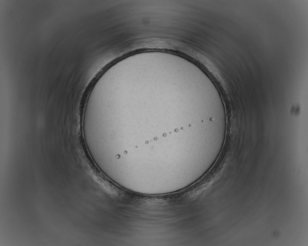 X0000091950837200710041006
