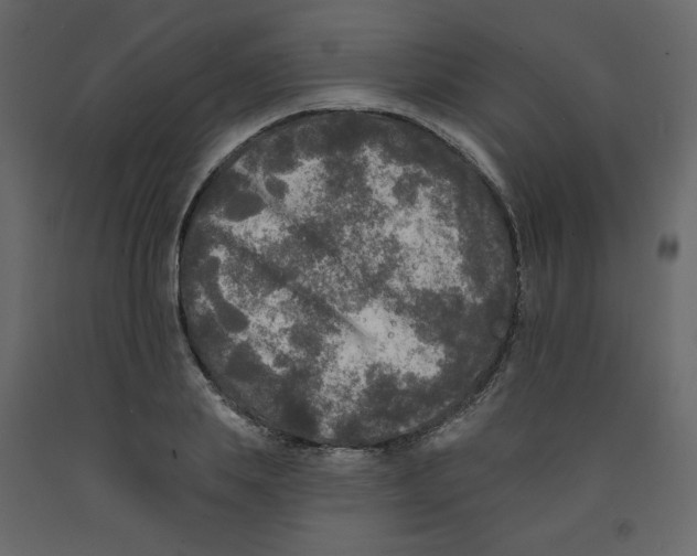 X0000091950839200710041006