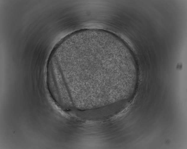 X0000091950840200710041006