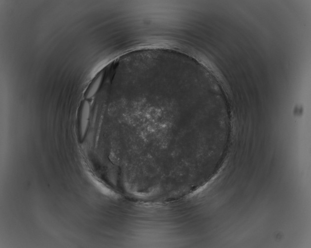 X0000091950842200710041006