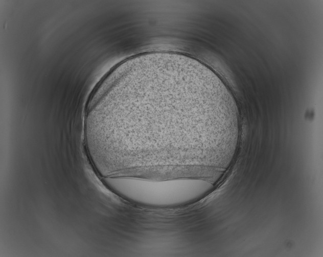 X0000091950844200710041006