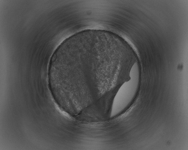 X0000091950845200710041006