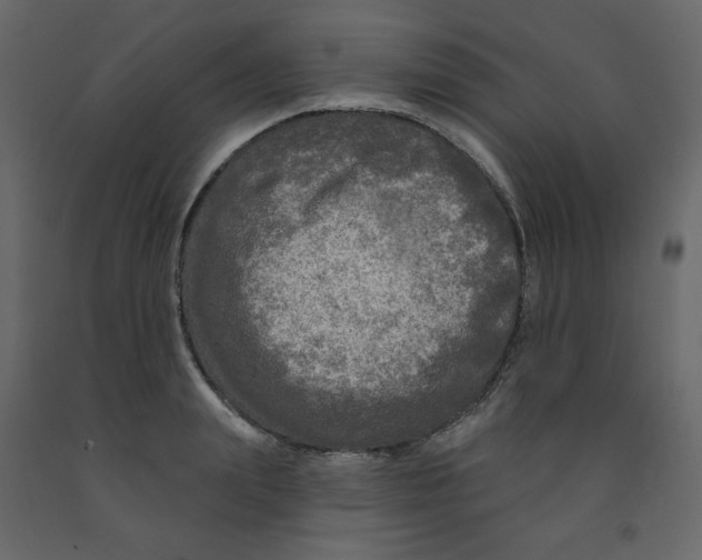 X0000091950847200710041006
