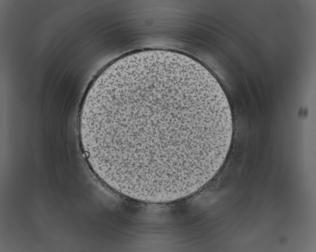 X0000091950848200710041006