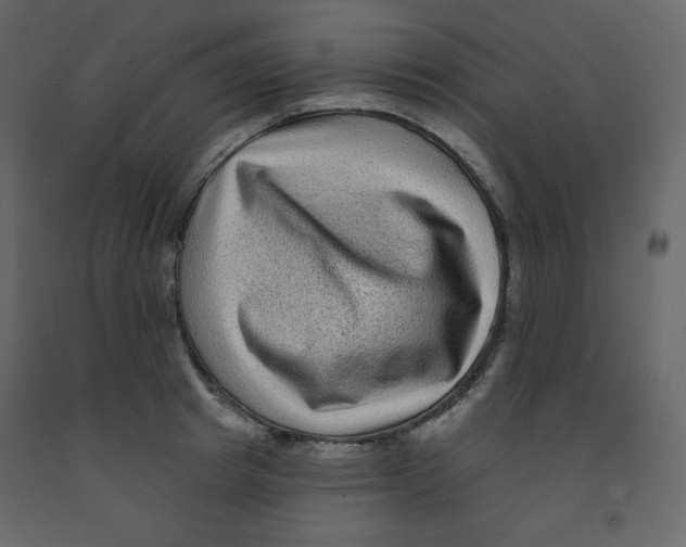 X0000091950849200710041006