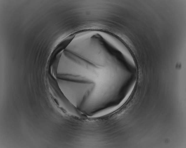 X0000091950850200710041006