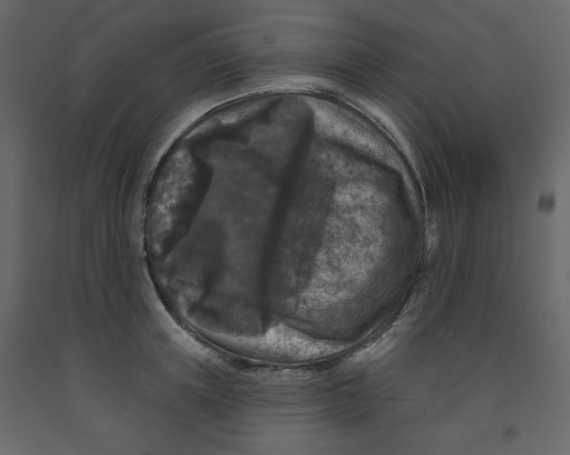 X0000091950851200710041006