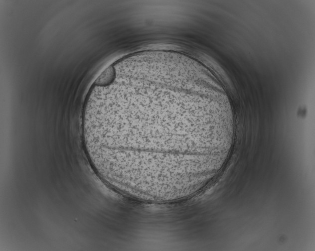 X0000091950852200710041006