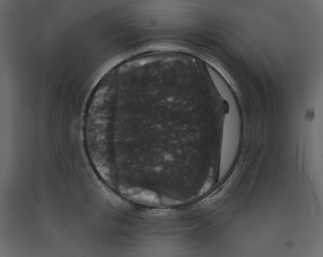 X0000091950853200710041006