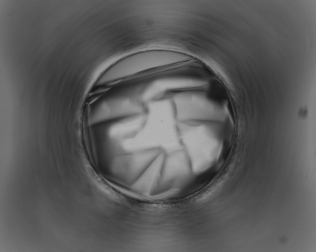 X0000091950854200710041006
