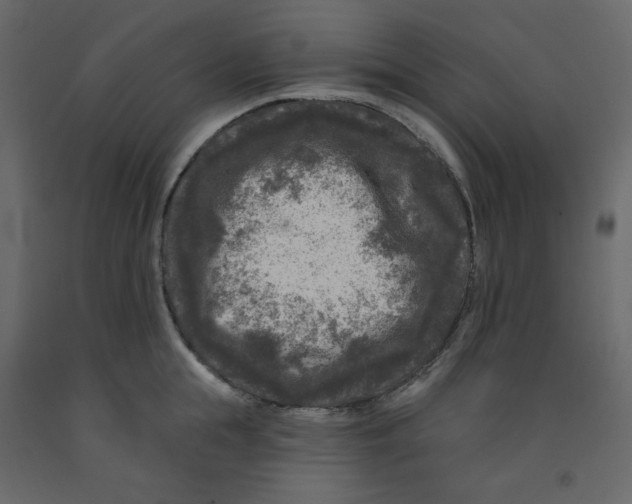 X0000091950855200710041006